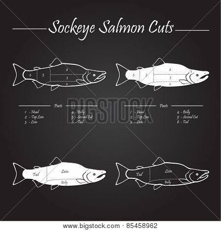 Sockeye Salmon Cuts Diagram