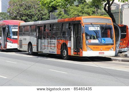 Sao Paulo City Bus