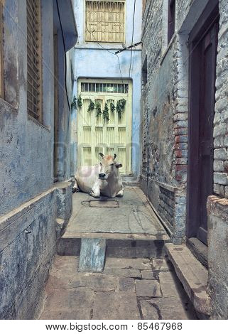 Holy city of Varanasi, India