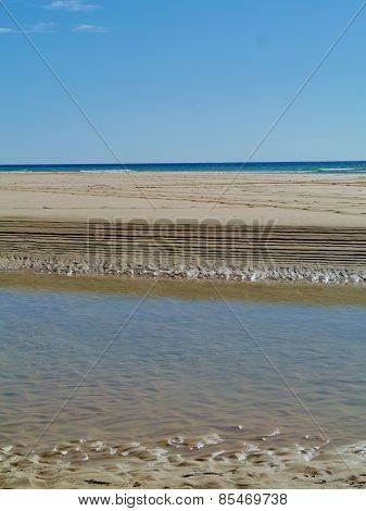 The beach of Fuerteventura at ebb