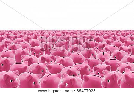 Large group of pink piggy banks
