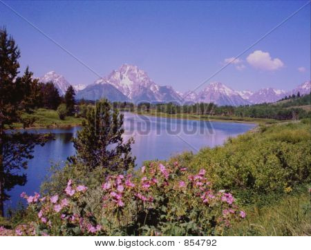 Oxbow