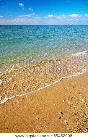 Beautiful Summer Sea Coast