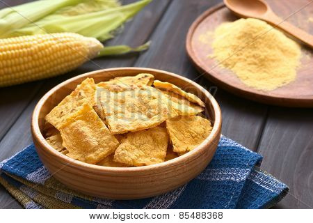 Homemade Baked Tortilla Chips