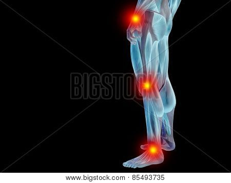 Conceptual 3D human man anatomy lower body or health design, joint or articular pain, ache or injury isolated on black background
