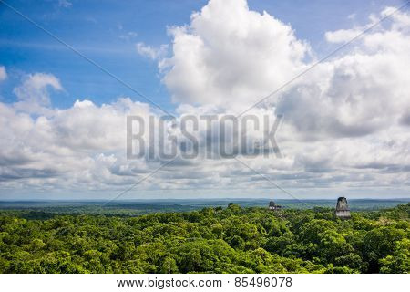 Panoramic View Of Rainforest And Mayan Ruins . Tikal National Park Traveling Through Guatemala.