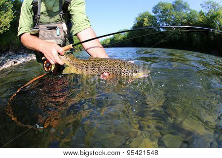 Closeup of fly-fisherman holding brown truit in river