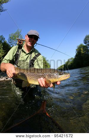 Closeup of fly-fisherman holding brown truit in river