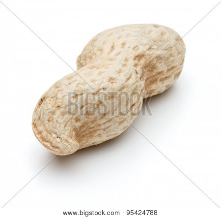 peanut pod or arachis isolated on white background cutout