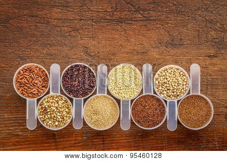 gluten free grains (quinoa, brown rice, kaniwa, amaranth, sorghum, millet, buckwheat, teff) - a row of measuring scoops on a rustic wood with a copy space