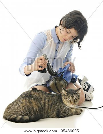 A pretty young teen vacuuming a contented tabby cat with a spot of back hair being suctioned up.  Focus on the girl.   On a white background.