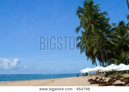 Brazylijski Beach