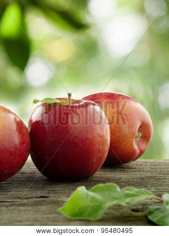 apples