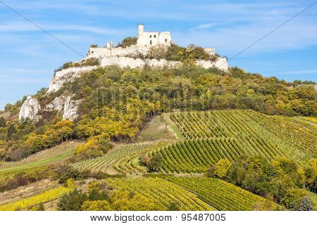 ruins of Falkenstein Castle with vineyard in autumn, Lower Austria, Austria