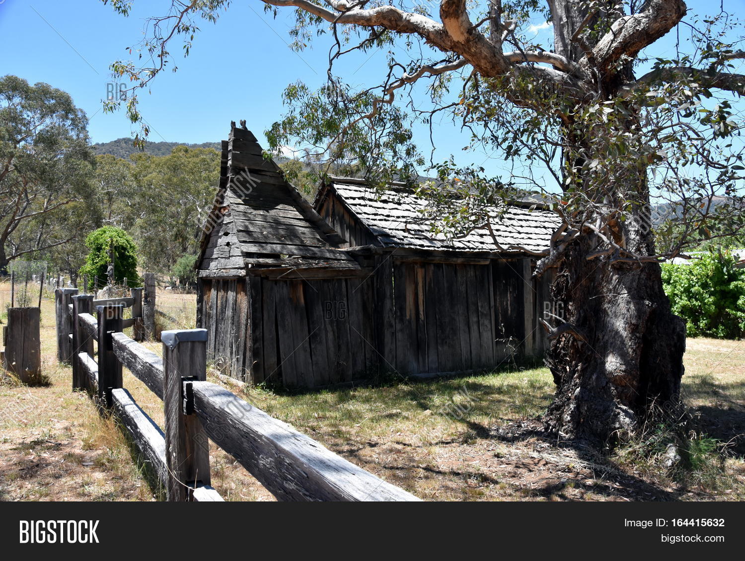 Suggan Buggan Image & Photo (Free Trial) Bigstock