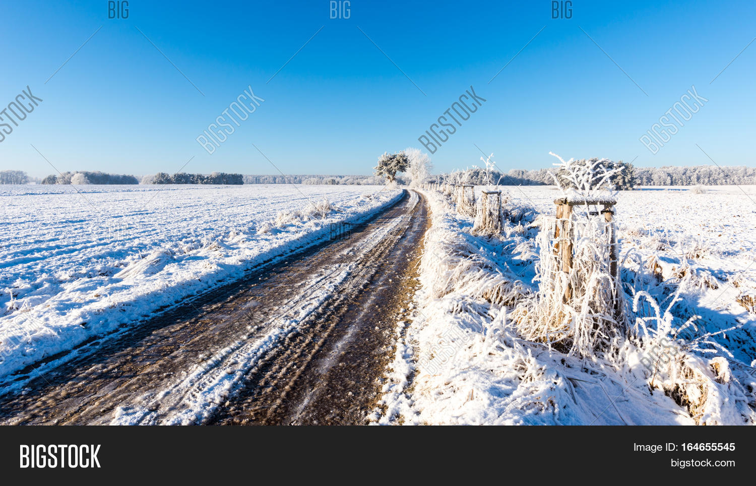 rutted road covered by image photo free trial bigstock