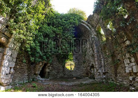 Overgrown ruins of ancient church VI-VII century, Abkhazia
