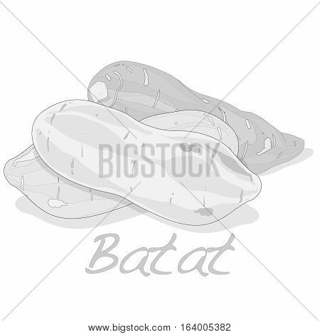 Batat, Sweet Potato Illustration On White