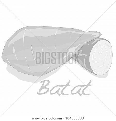 Batat, Sweet Potato Illustration On White