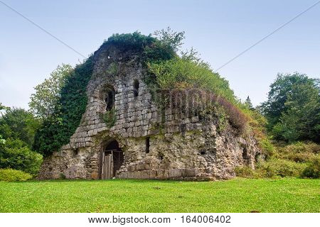 Overgrown ruins of ancient church VI-VII century, Abkhazia