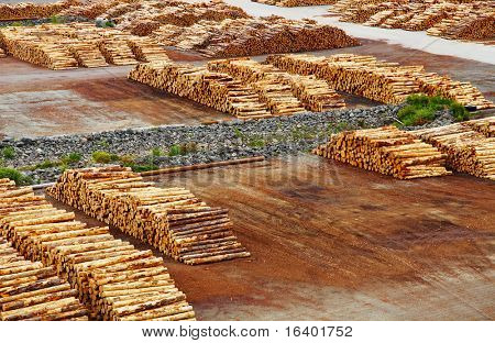 Timber export terminal, New Zealand