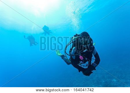 Female suba diver swimming under sea water