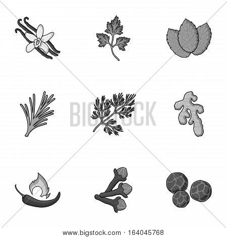Herb and spices set icons in monochrome style. Big collection of herb and spices vector symbol stock