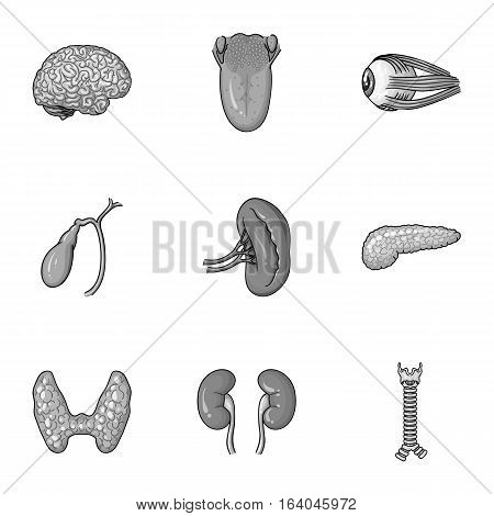 Human organs set icons in monochrome design. Big collection of human organs vector symbol stock illustration