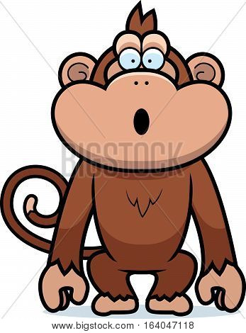 Monkey Surprised