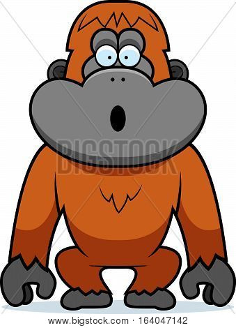 Orangutan Surprised
