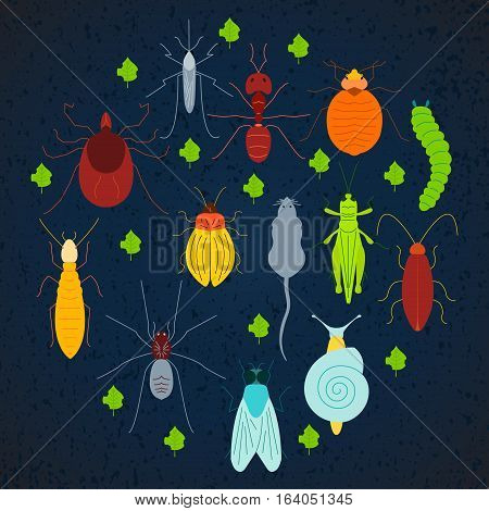 Set of pest insects and damaged leaves on dark blue background. Parasitic beetle concept. Perfect for exterminator service and pest control companies. Vector illustration.