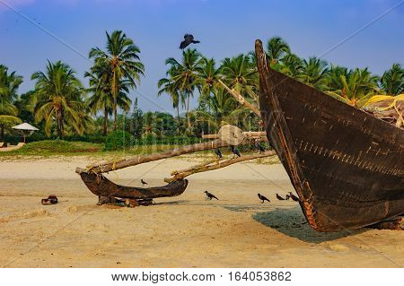 Traditional fishing boat on palm trees background, Cavelossim Beach in South Goa, India