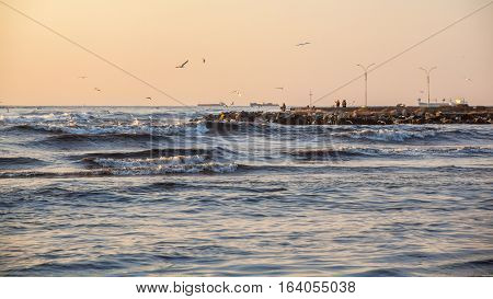 Storm, Gulls On The Coast Of The Black Sea, The River Rioni, Poti, Georgia