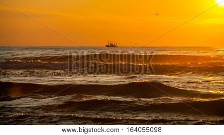 Seiner On A Black Sea, Poti, Georgia