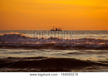 Seiner On A Black Sea, Poti, Georgia