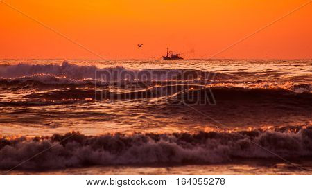 Seiner On A Black Sea, Poti, Georgia