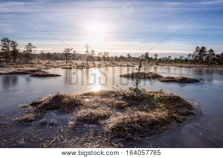 Sun is reflecting from the frozen bog pond