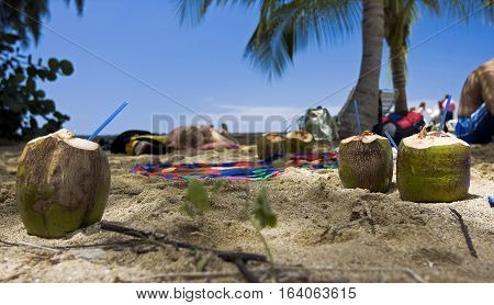 Tropical coconut drinks are placed in the sand while the people are relaxing nearby.