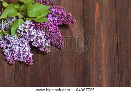 Beautiful Lilac On A Wooden Background. Branches Of Lilac On A Dark Background. Spring Flowers.
