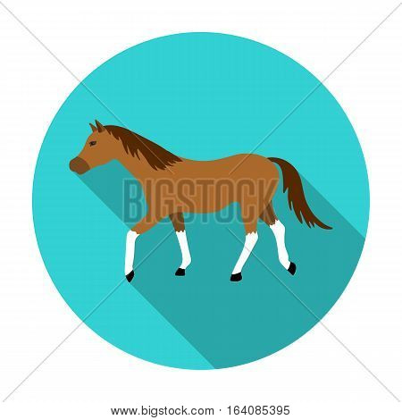 Horse icon in flat design isolated on white background. Hippodrome and horse symbol stock vector illustration.