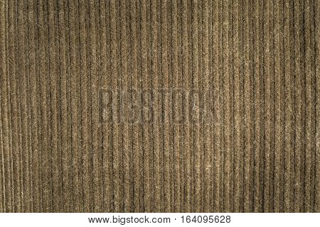 Corduroy Background In Close Up