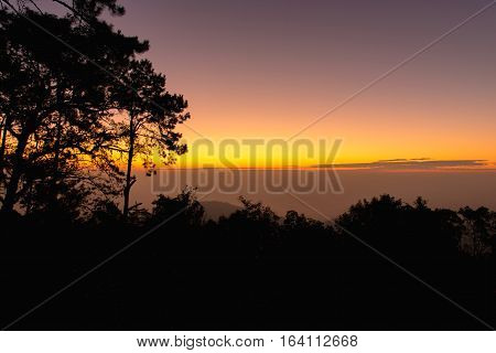 Sunrise In The Morning,