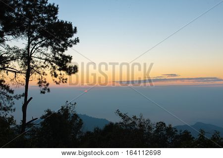 Sunrise In The Morning,