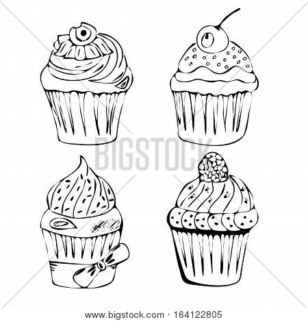 Hand drawn of tasty Cupcake. Doodle vector illustration.