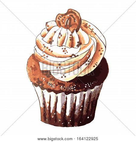 Hand drawn of tasty Cupcake isolated on the white background. Watercolor vector illustration.
