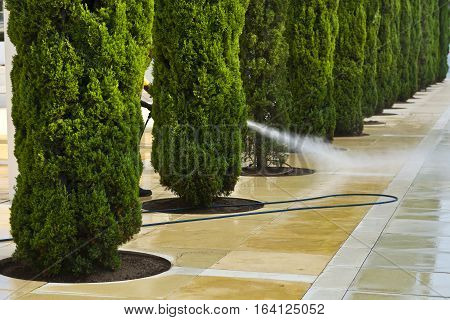 Cleaning the Streets with Water Pressure in Tel Aviv. Israel