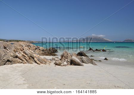 Landscape figaroli island in sardinia IN italy summer