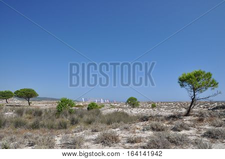 BUDONI Sardinia Italy TANAUNELLA BEACH SUMMER 2016
