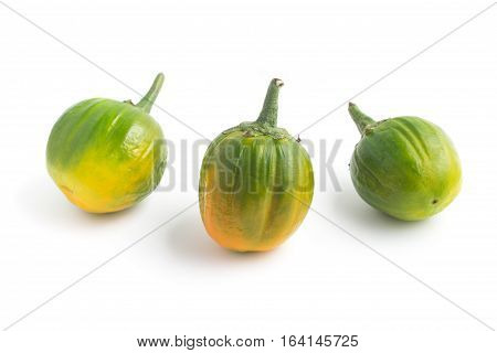 African Eggplant. Brazilian Jilo isolated on white background