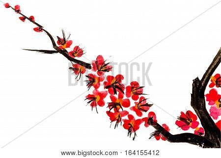 A branch of a blossoming tree. Pink flowers of sakura . Watercolor painting. Isolated on white background.